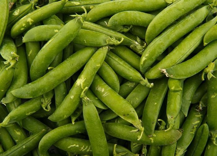 ������� ��������� ������: ��� ��������� ������ ������ �� ����