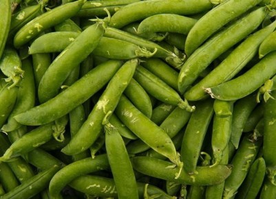 ������� ��������� ������: ��� ��������� ������ ������ �� ����