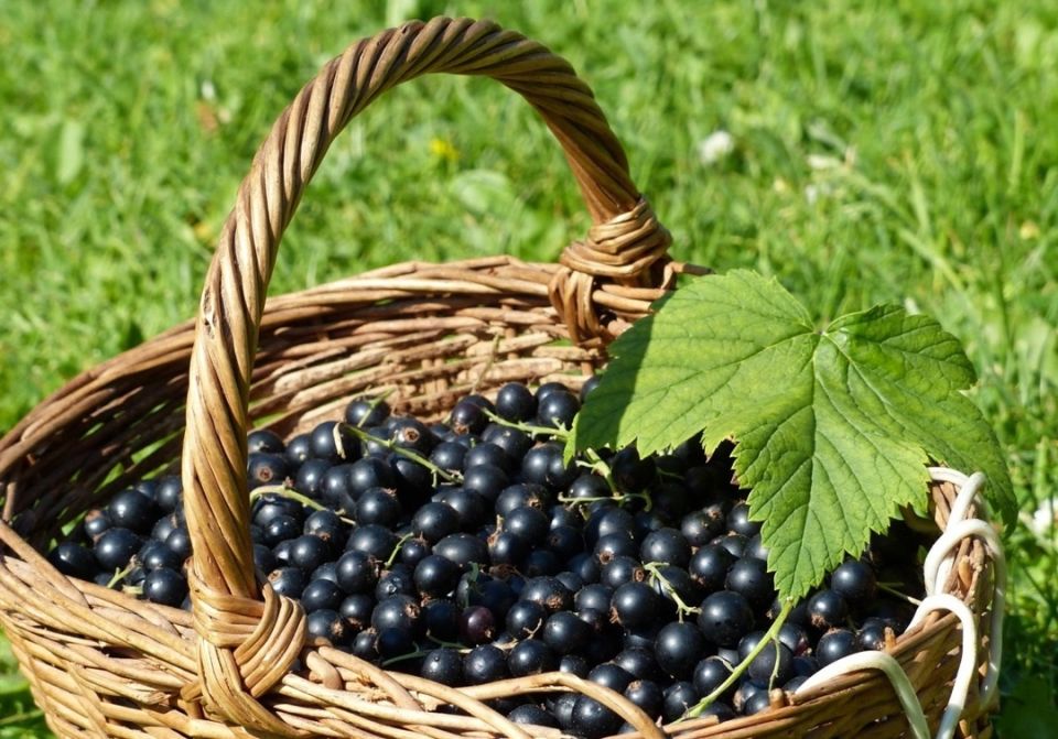 ��� ������� ������ � ��������� ��������� ������ �� ��������� ���