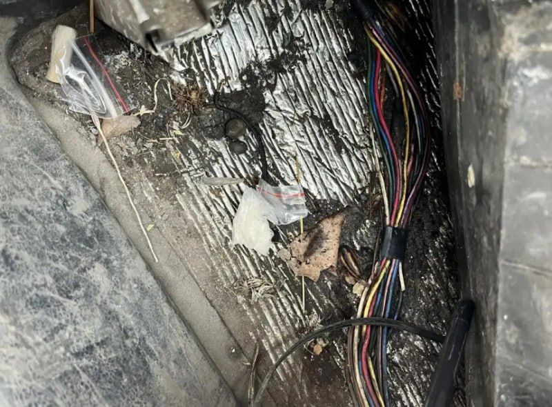 ����������� ������ ���������� ������������� �������� � ���������� ��������