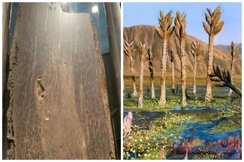 Дракон-ёжик, инопланетный клад и затерянный мир майя Дракон-ёжик, инопланетный клад и затерянный мир майя