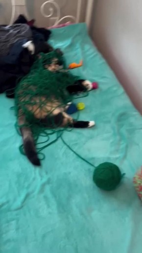 Доброе утро, Хакасия!