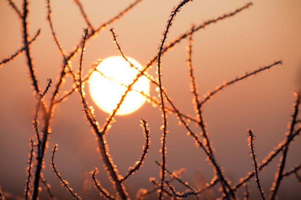 �������� ���������� ������� ��������� ������ �������������, ����������� ����