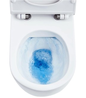 ���� ������ ����� ��������� ��������: ��� �������?