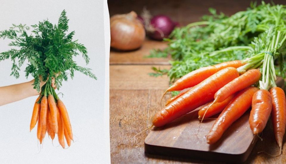 ��� ��������� ������� ������ �� ����� ������ ����