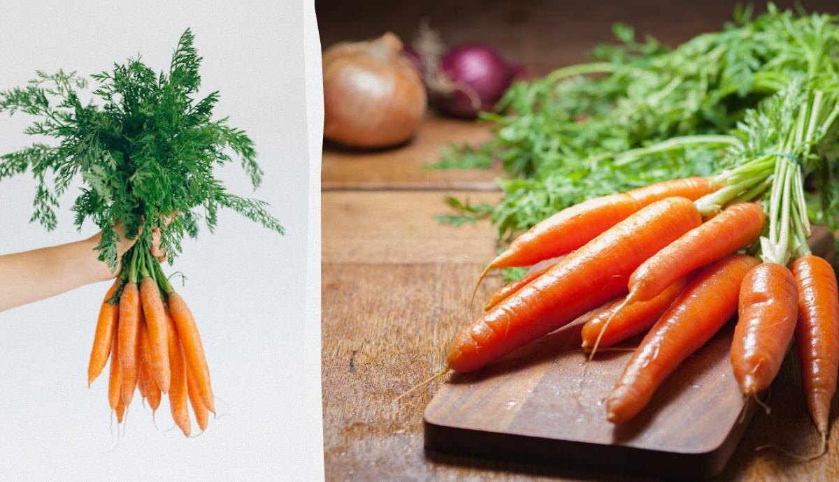 Как сохранить морковь свежей на целых десять дней