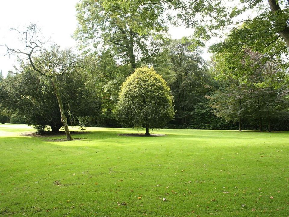 ��� �������� ������� ������ � ����: ������� �������