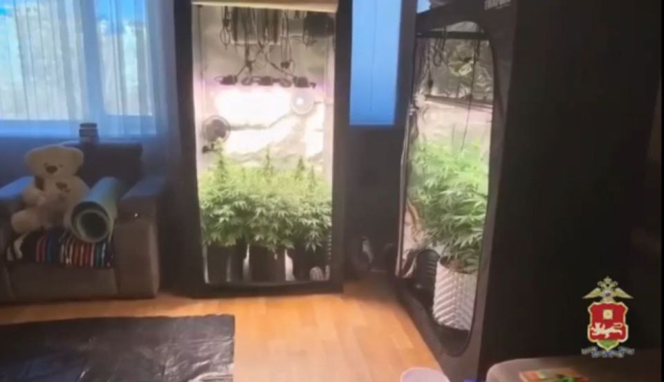 � ������� �������� "������������" �������� �������