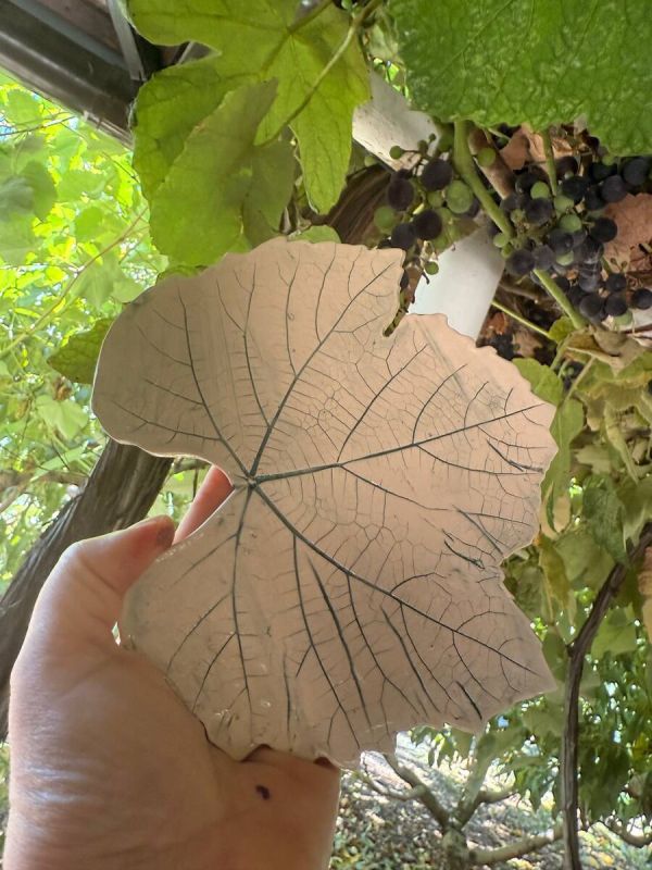 �������� ��� ���� ��������� �������� � ���������� ������ ����