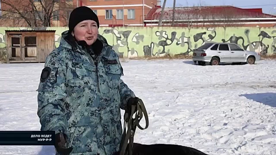 ��������� ������ ������� - � ��������� "���� ��Ĩ� ���-�-�"