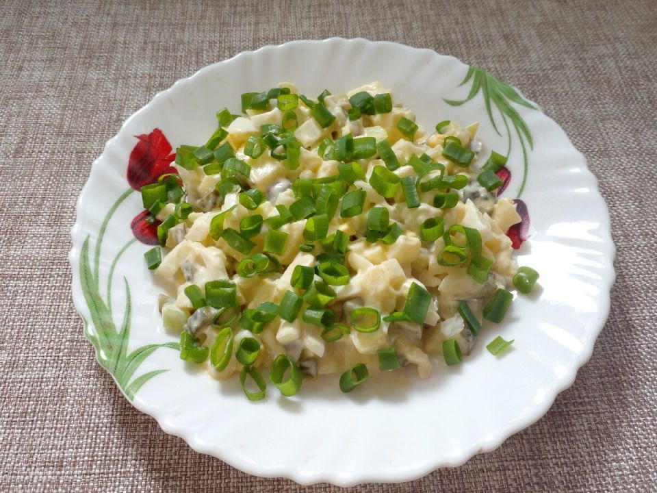 ������ ����� � �������� ��������: ��������� ���������� � ������ ������