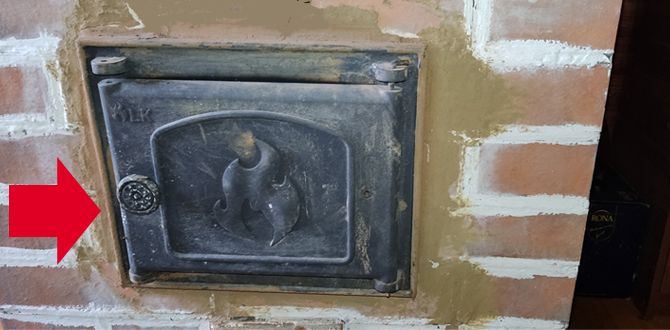 Топим печь на даче: советы по экономии и обогреву