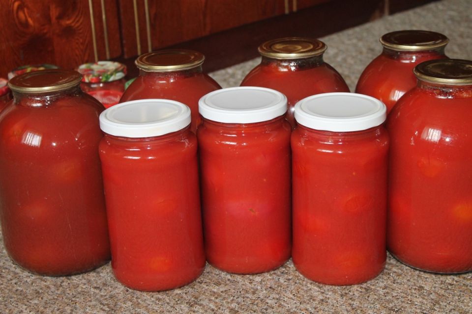 ����� ���������� ����� � �������� ����: ��������� ���� �������� ���������