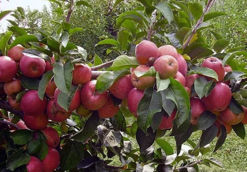 ��� �������� ��� �� ��������: 10 ������� ����� ������