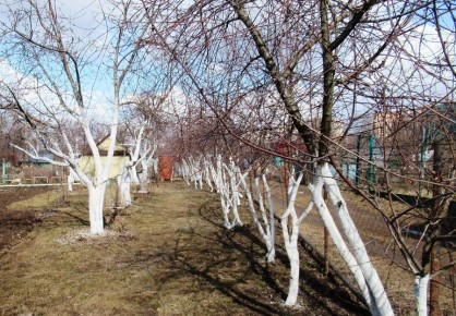 ��� ��������� ������������� ����� ������ ��� ������� ������