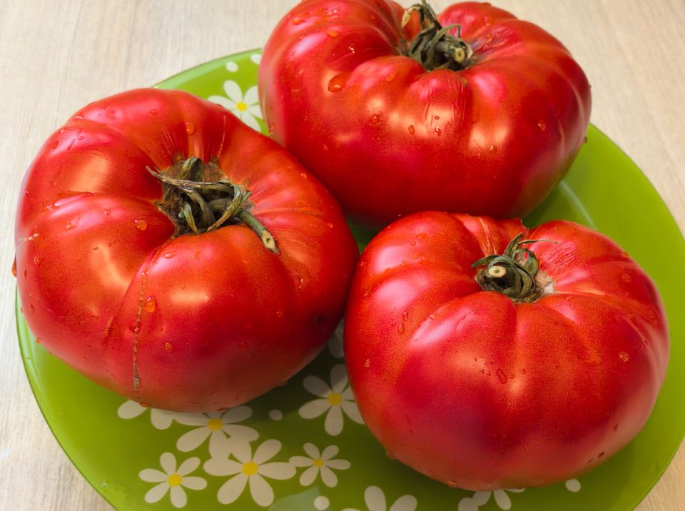 ���������� ����� �������, ������� ����� �����������