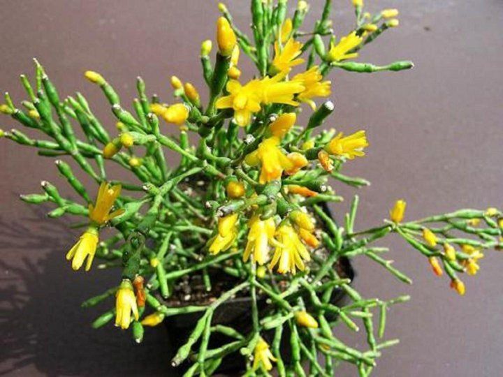 �������: ��������� ���� �� ������������ ���������