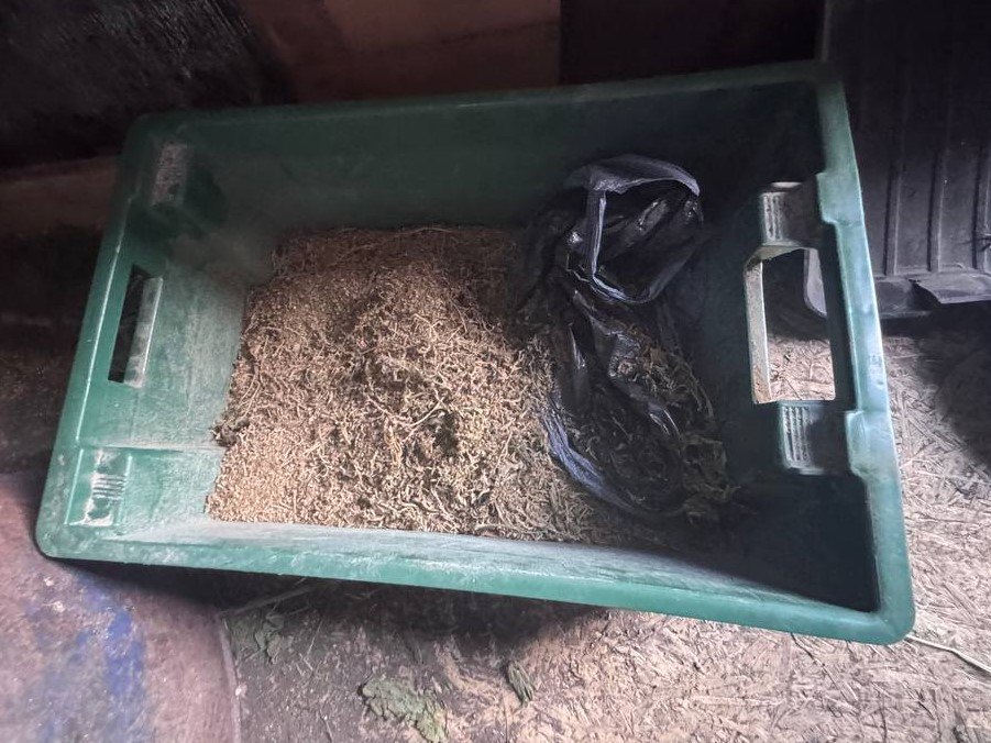 У жителя села Солёноозёрное полицейскими изъята марихуана