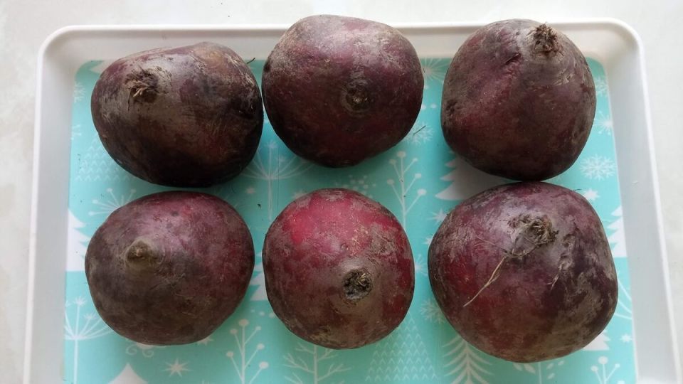 ��� ��������� ������ �� �����: �������� ��� ��������� ��������