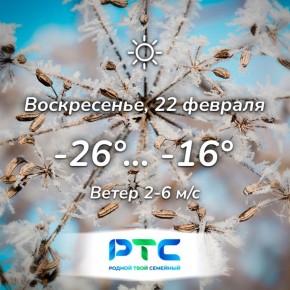 Прогноз погоды