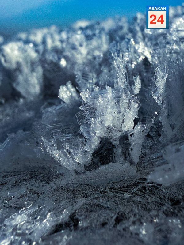 ������� � �������- ������� �� �����������, 23 �������