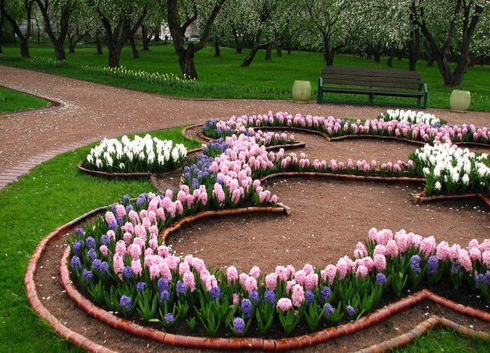 Зачем нужна бордюрная лента в саду: три ключевых преимущества