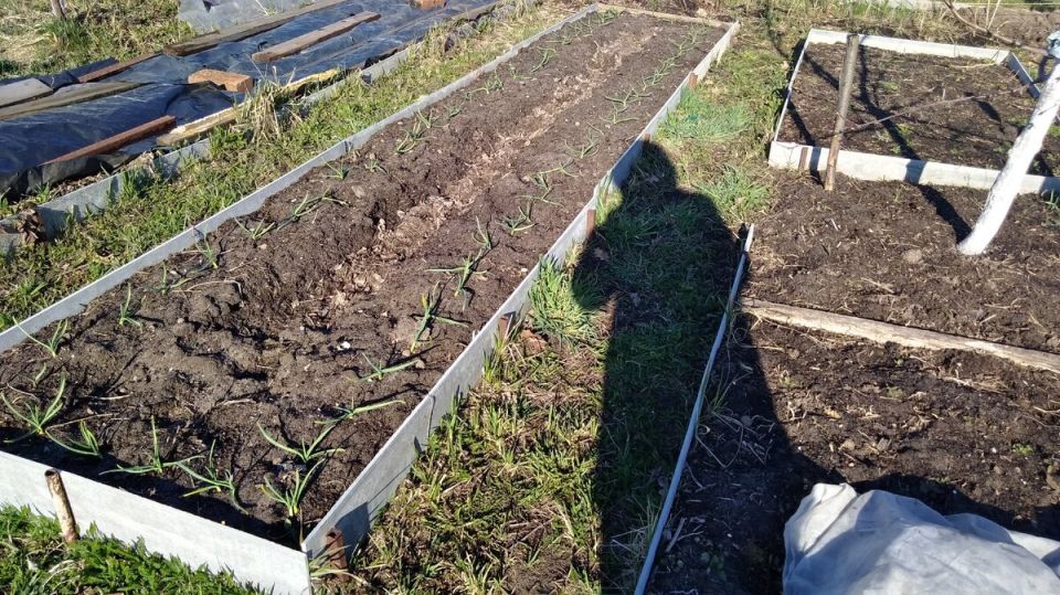 ��������� �������: ������� ������ ������ ��� ������ �������