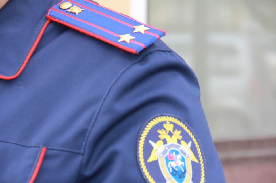 7 взяток на 3,5 млн рублей получила ветеринарный врач "Бейской ветстанции" от предпринимателей