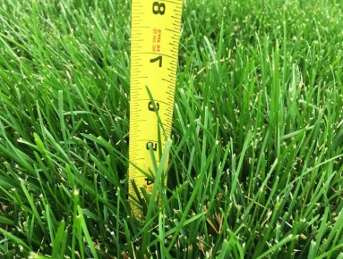 ������ ���������� ����: ��� �������� � ������