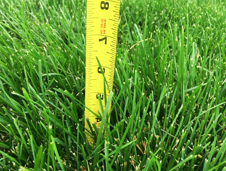 Зимняя подготовка сада: чем заняться в ноябре