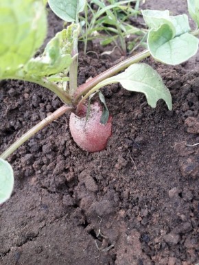 ��������� ���������: ��� ����� � �������� ����� ����� ��������� �����