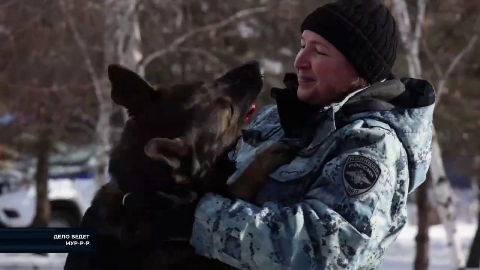 Эти верные напарники отличаются от обычных домашних питомцев