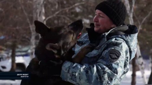 ��� ������ ��������� ���������� �� ������� �������� ��������