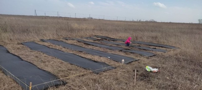 Перекопка огорода: мифы и реальность