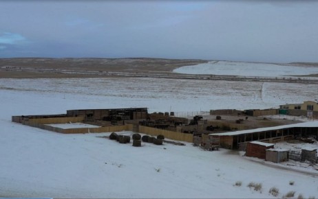 С помощью БПЛА выявлены нарушения на трёх фермах в Усть-Абаканском районе