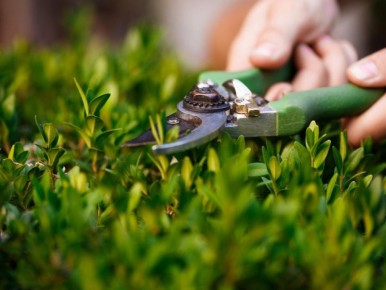 ����� �������� ����������: ������ ��� ���������� ���� � ����