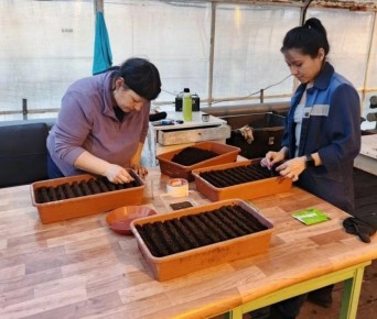 ����������, ��������, ������� � �������: � ���������� �������� ��������� ������ ������ ������