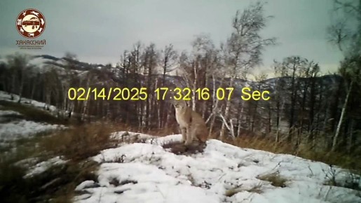 Хан в предвкушении весны