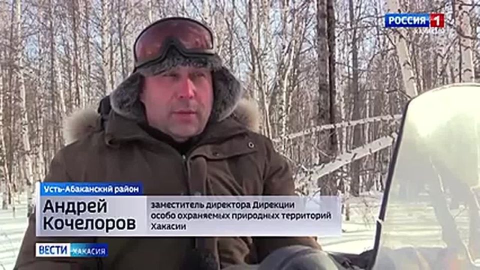 � ������� ������� ������ ���� ��������