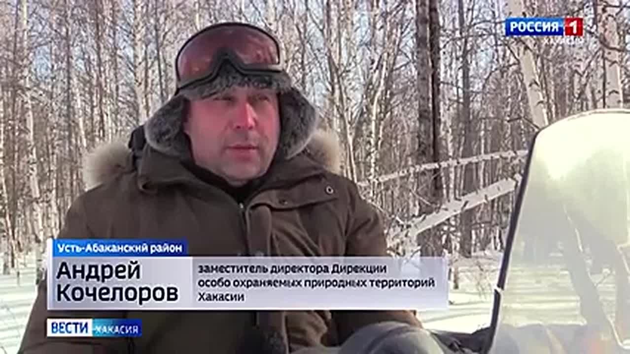 В Хакасии начался зимний учет животных