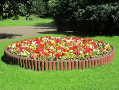 ���������� ������ �� ��������� ����������: ������ ������� �� ����