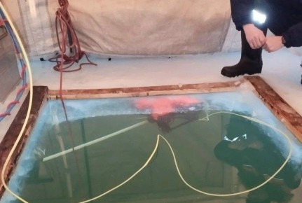 ���� ��������� ������ �������� � ������� 65 ������ ��������� ������������� ������, �� ���������� ��� ��� ������������� �������������, ������ �� ����������