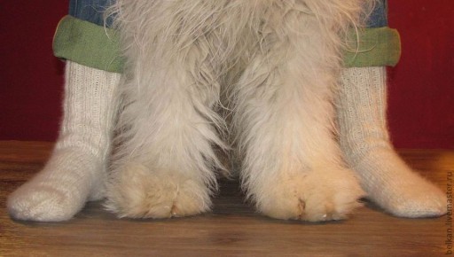 ������� ��������: ��� ������ ����� �������� ��� ��������