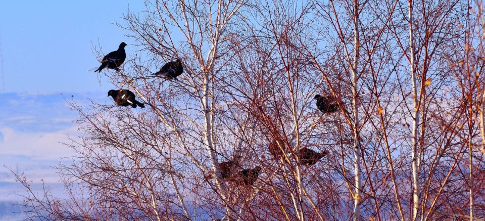 ������ ���������, ������? � ����� ����?