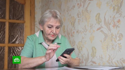 Новые инициативы Госдумы: как защитят россиян от мошенников