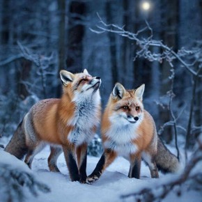 ���� � ���� ����� ������� �����, ����� �������� �������� �� ��� ���������� �����