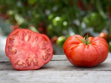 ��� ��������� ��������-������� �� ����� ����