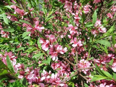 �������: ��� ��������� �� ���������� ������� � ������� ������