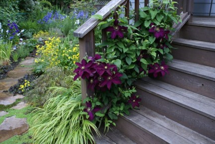 ��� ��������� ��������: ������� ��� ������������� ��������