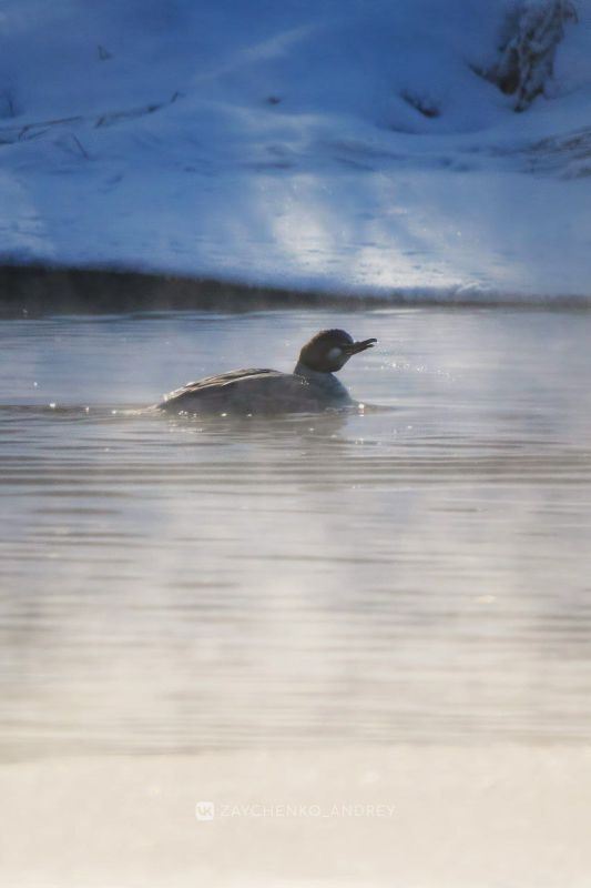 ������ ��������� �� �������� ������� � ���������� ���� ������ ����� � ��������� ������ ��������